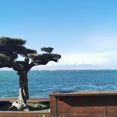 Appartement Cosy Sur La Presqu'Ile De Cap Coudalere Avec Piscine Ouverte Et Chauffee Le Barcarès Exterior foto